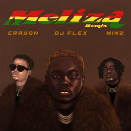Album cover of Meliza (Remix)