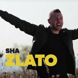 Album cover of Zlato