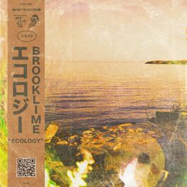 Album cover of Ecology