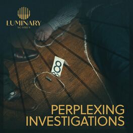 Album cover of Perplexing Investigations