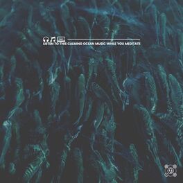Album cover of Listen to This Calming Ocean Music While You Meditate