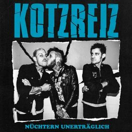 Album cover of Nüchtern unerträglich
