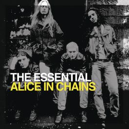 Album cover of The Essential Alice In Chains