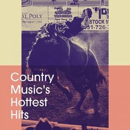Album cover of Country Music's Hottest Hits