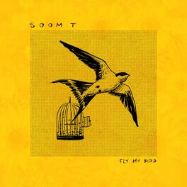 Album cover of Fly my Bird