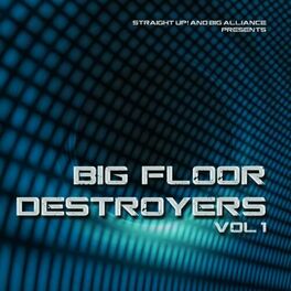 Album cover of Big Floor Destroyers Vol. 1