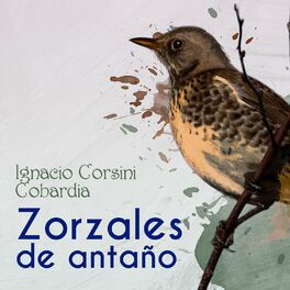 Album cover of Zorzales de Antaño - Ignacio Corsini - Cobardia