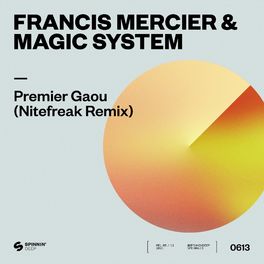 Album cover of Premier Gaou (Nitefreak Remix)