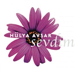 Album cover of Sevdim
