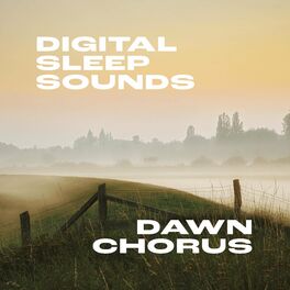 Album cover of Dawn Chorus