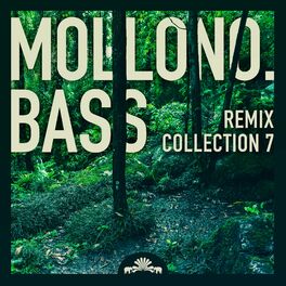Album cover of Mollono.Bass Remix Collection 7