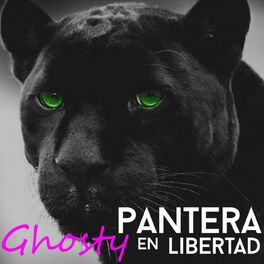 Album cover of Pantera en Libertad