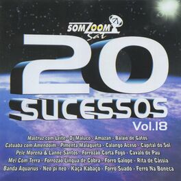 Album cover of 20 Sucessos, Vol. 18