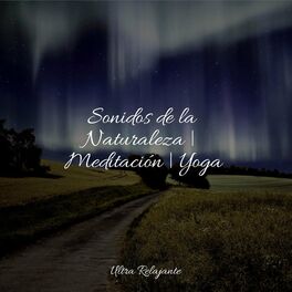 Album cover of Sonidos de la Naturaleza | Meditación | Yoga