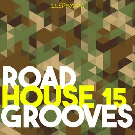 Album cover of Roadhouse Grooves 15