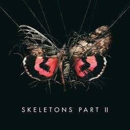 Album cover of Skeletons: Part 2