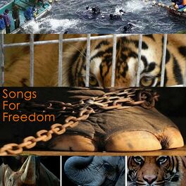 Album cover of Songs For Freedom