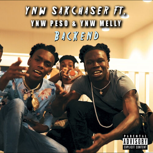 YNW Sakchaser - BackEnd (feat. YNW Melly, YNW Peso): lyrics and 
