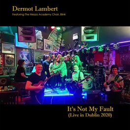 Album picture of It's Not My Fault (Live In Dublin, 2020)