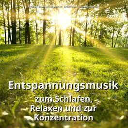 Album cover of Entspannungsmusik zum Schlafen, Relaxen und zur Konzentration