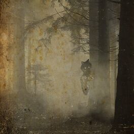 Album cover of Forest Creatures