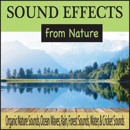 Album cover of Sound Effects from Nature: Organic Nature Sounds, Ocean Waves, Rain, Forest Sounds, Water, & Cricket Sounds