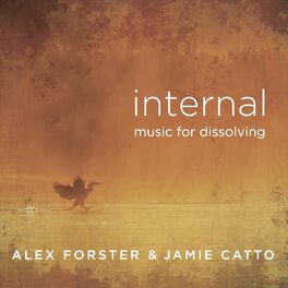 Album cover of Internal (Music for Dissolving)