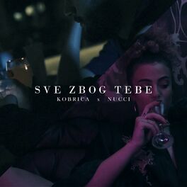 Album cover of Sve zbog tebe