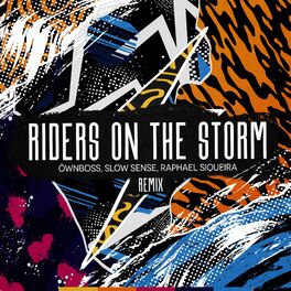 Album cover of Riders on the Storm (Remix)