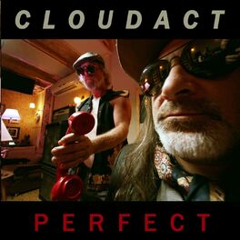 Album cover of Perfect