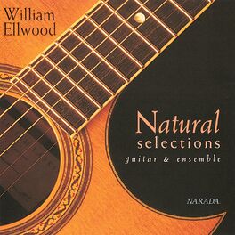 William Ellwood - Vista: lyrics and songs