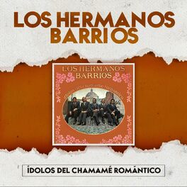 Album cover of Ídolos Del Chamamé Romántico