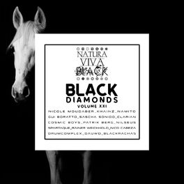 Album cover of Black Diamonds, Vol. 21