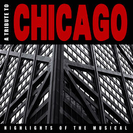 Album cover of A Tribute To Chicago