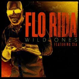 Album picture of Wild Ones (feat. Sia)