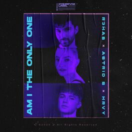 Album cover of Am I The Only One