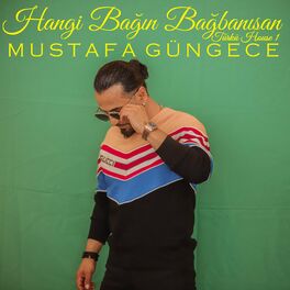 Album cover of Hangi Bağın Bağbanısan (Türkü House 1)