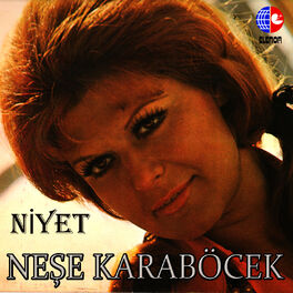 Album picture of Niyet