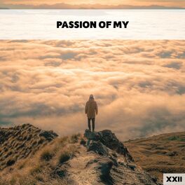 Album cover of Passion Of My XXII
