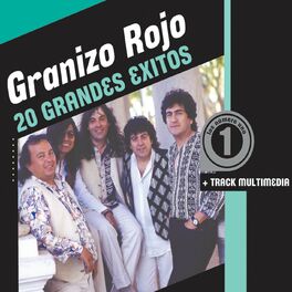 Album cover of 20 Grandes Exitos