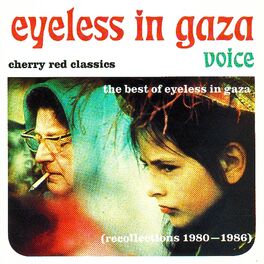 Album cover of Voice - The Best Of Eyeless In Gaza