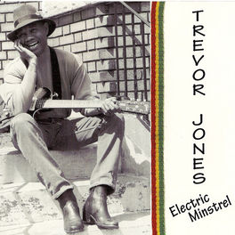 Album cover of Electric Minstrel
