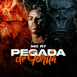 Album cover of Pegada de Gorila