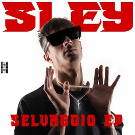 Album cover of SELVAGGIO