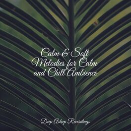 Album cover of Calm & Soft Melodies for Calm and Chill Ambience