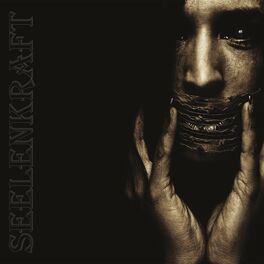 Album cover of Schweigen Ist Silber