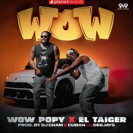 Album cover of WOW (Prod. by Dj Cham, Cuban Deejays)