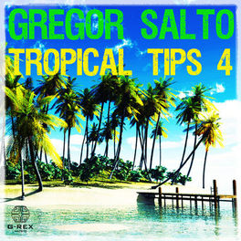Album cover of Gregor Salto - Tropical Tips 4