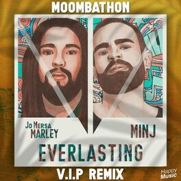 Album cover of Everlasting (Moombathon VIP Remix)