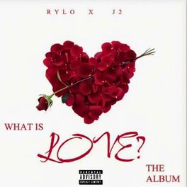 Album cover of What Is Love